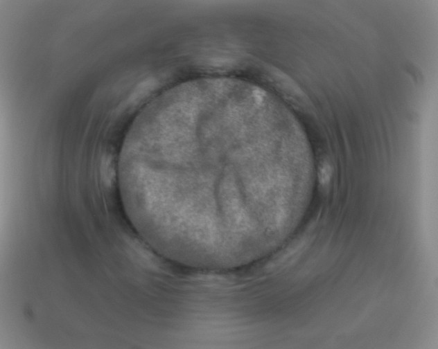 X0000113601204200910161857