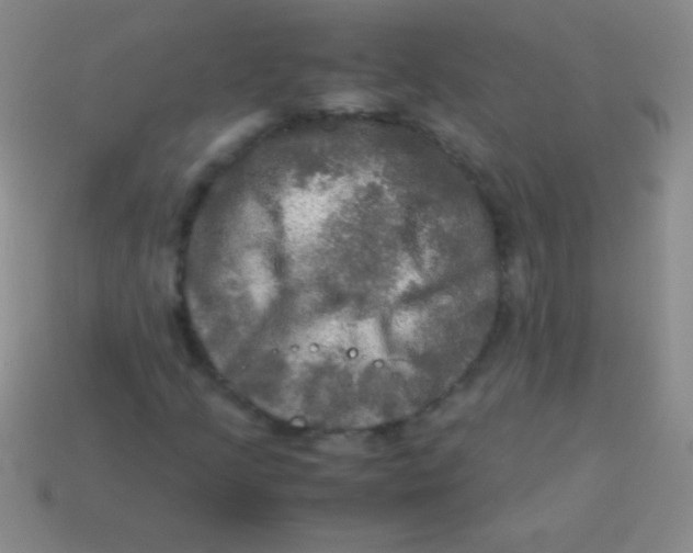 X0000113601205200910161857