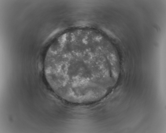 X0000113601206200910161857