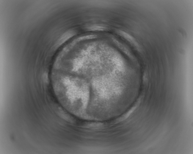 X0000113601209200910161857