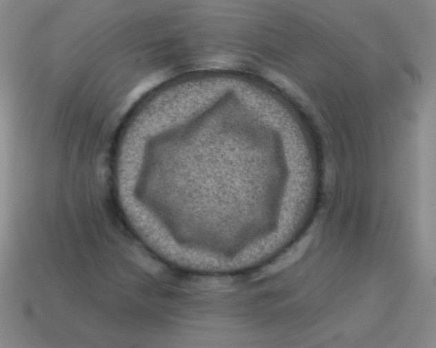 X0000113601210200910161857