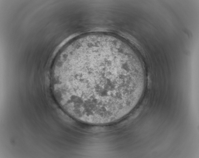 X0000113601212200910161857