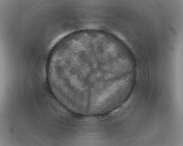 X0000113601214200910161858