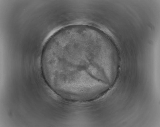 X0000113601216200910161858