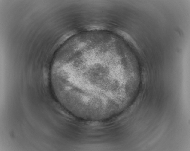 X0000113601217200910161858