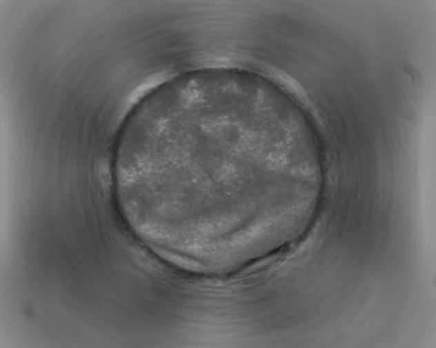 X0000113601218200910161858