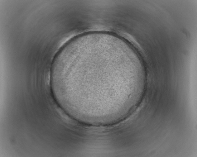 X0000113601220200910161858