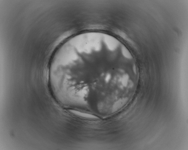 X0000113601221200910161858