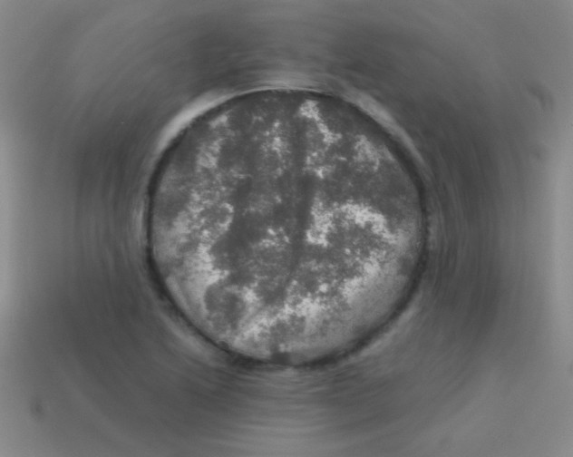 X0000113601222200910161858