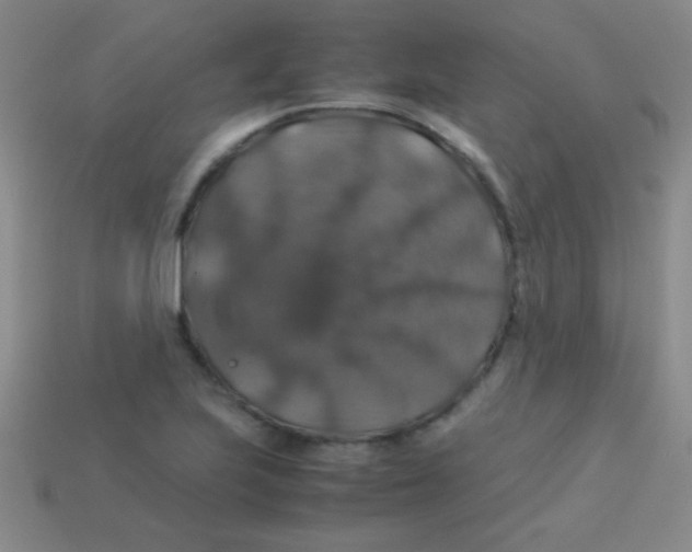 X0000113601223200910161858