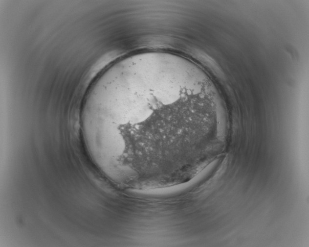 X0000113601226200910161858