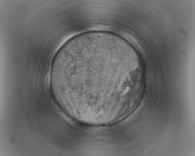 X0000113601228200910161858