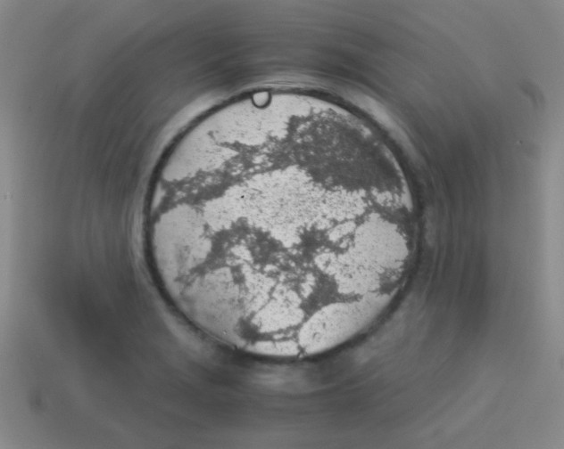 X0000113601229200910161858