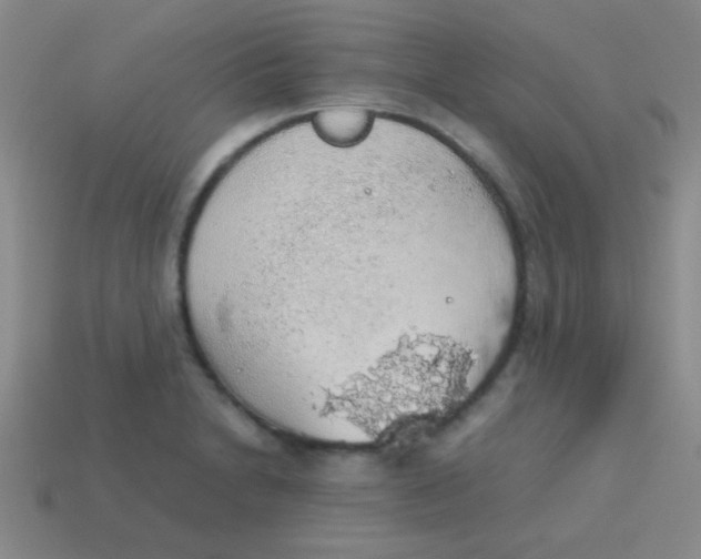 X0000113601230200910161858