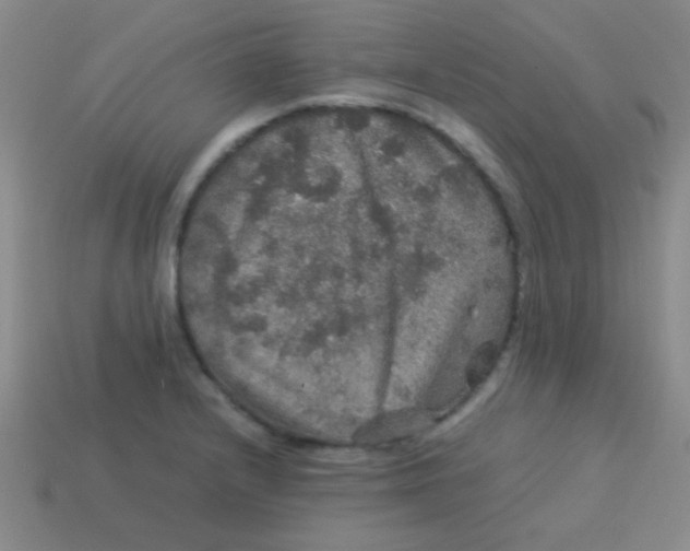 X0000113601232200910161858