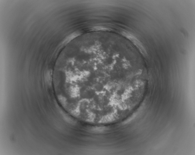 X0000113601233200910161858