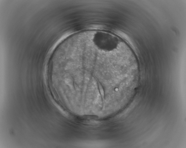 X0000113601235200910161858