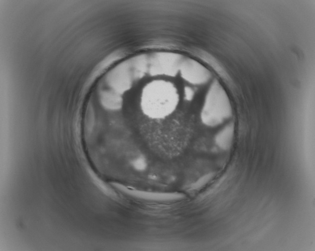 X0000113601237200910161858