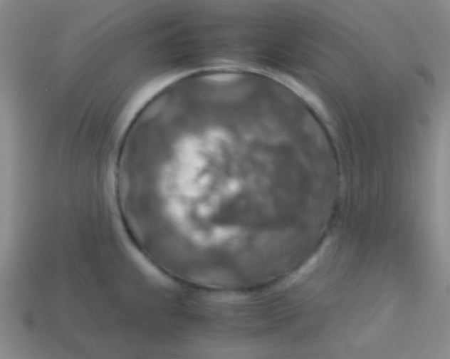 X0000113601239200910161858