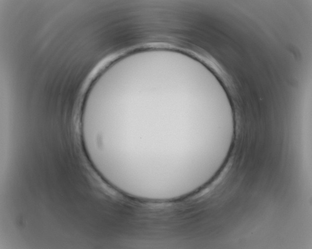 X0000113601240200910161858