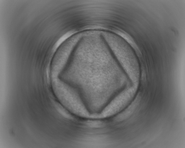 X0000113601242200910161858