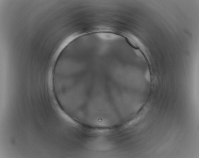 X0000113601243200910161858