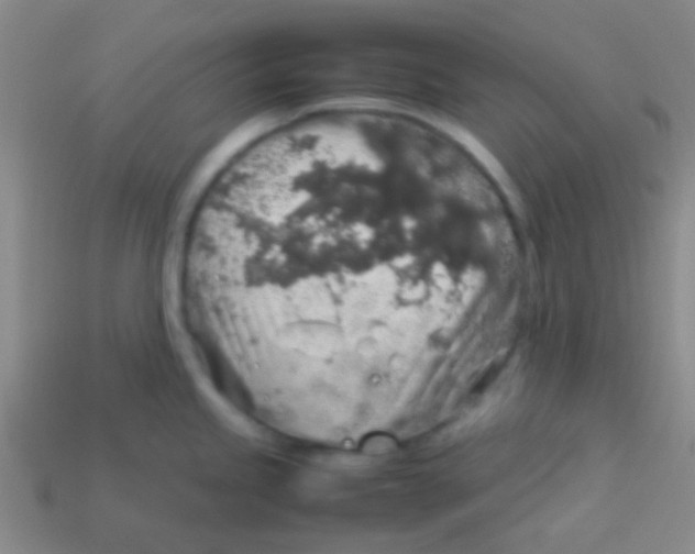 X0000113601245200910161858