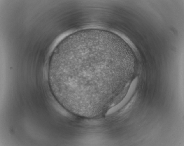 X0000113601246200910161858