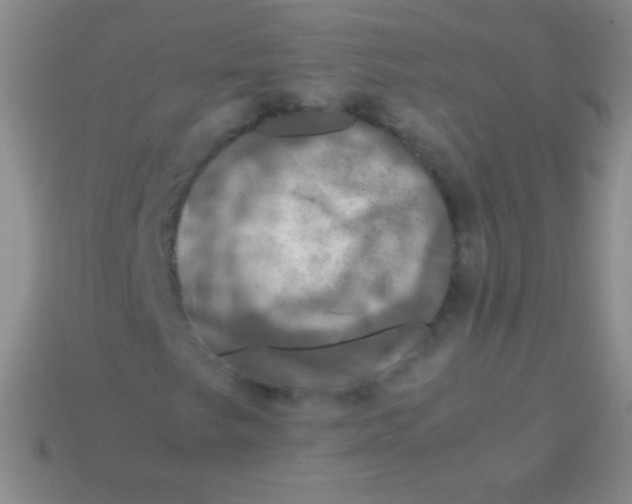 X0000113601249200910161857