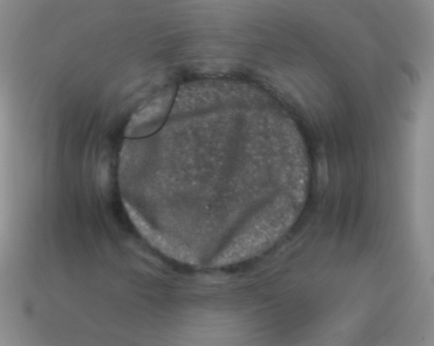 X0000113601250200910161857