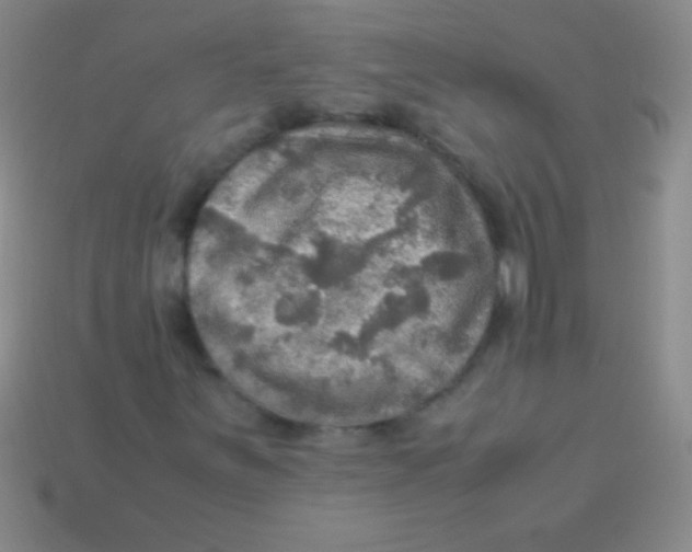 X0000113601251200910161857