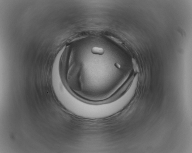 X0000113601252200910161857