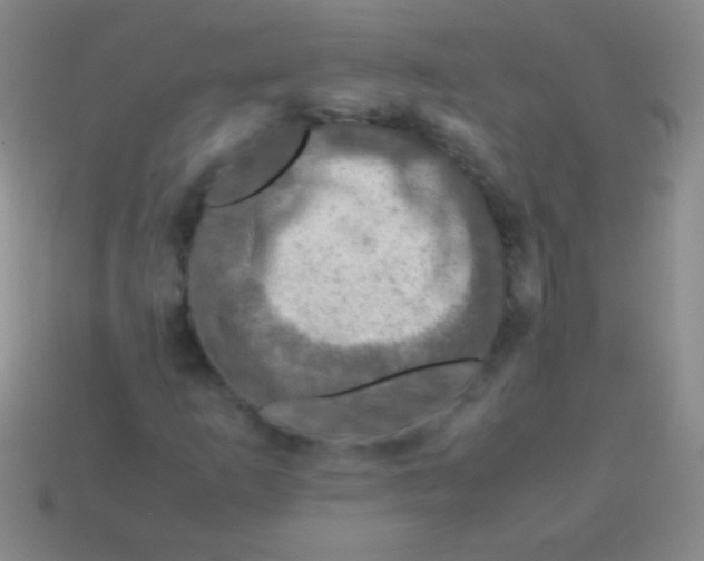 X0000113601253200910161857