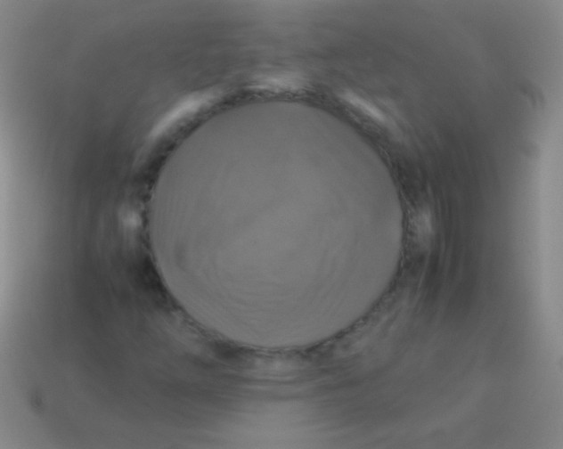 X0000113601254200910161857