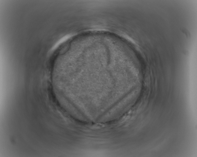 X0000113601255200910161857