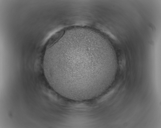 X0000113601256200910161857