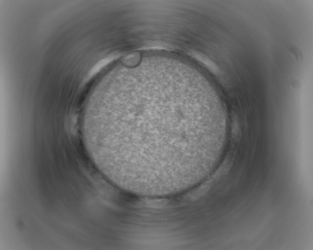 X0000113601258200910161857