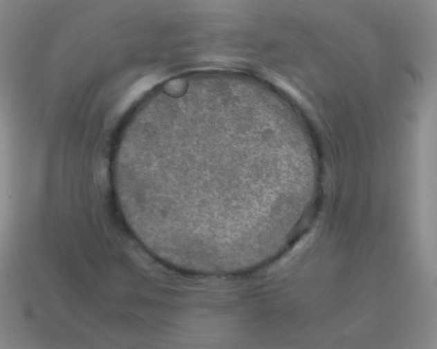 X0000113601259200910161857