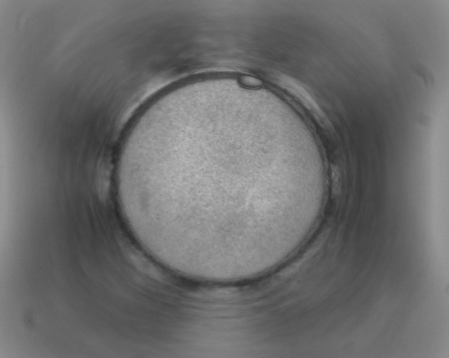 X0000113601260200910161857