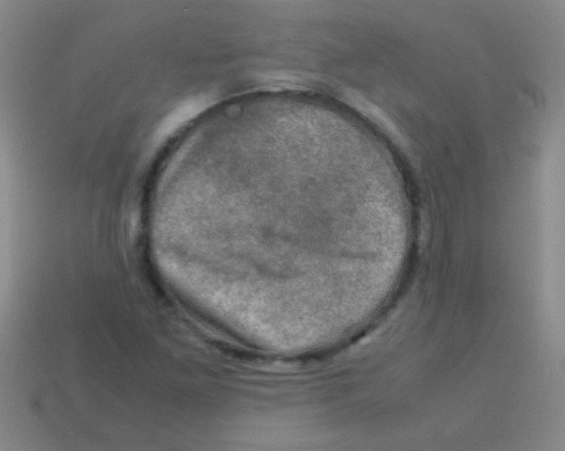 X0000113601261200910161857