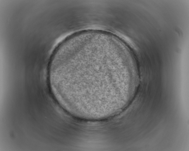 X0000113601264200910161857