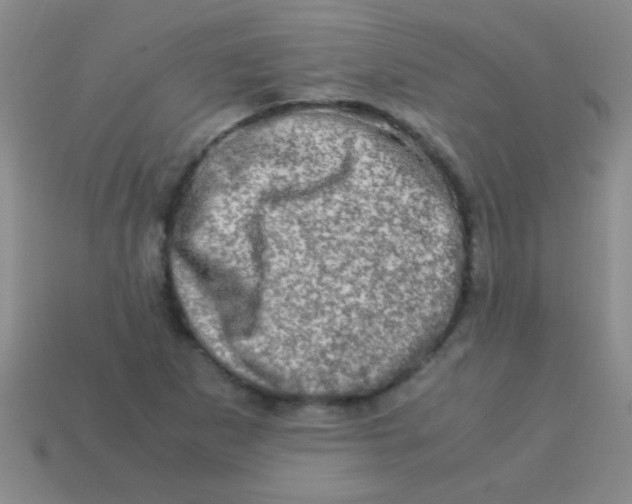 X0000113601265200910161857