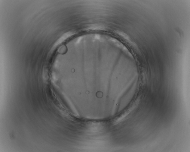 X0000113601266200910161857