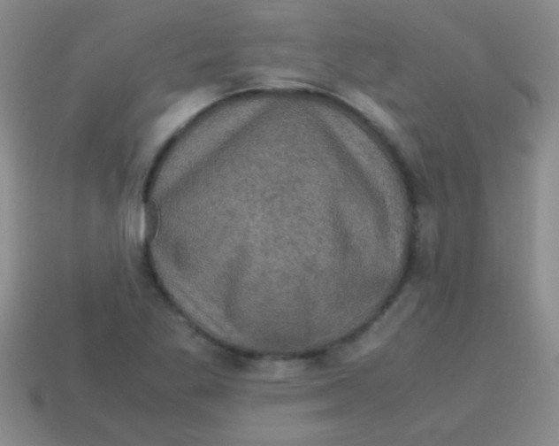 X0000113601269200910161857