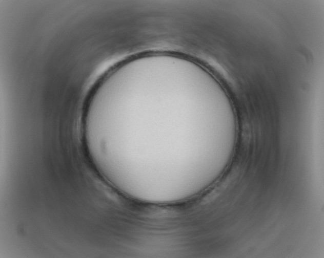 X0000113601270200910161857