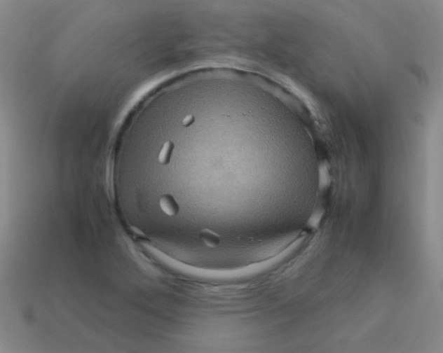 X0000113601272200910161857