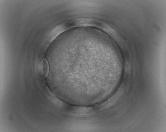 X0000113601273200910161857