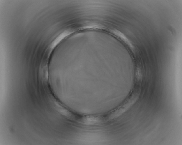 X0000113601274200910161857