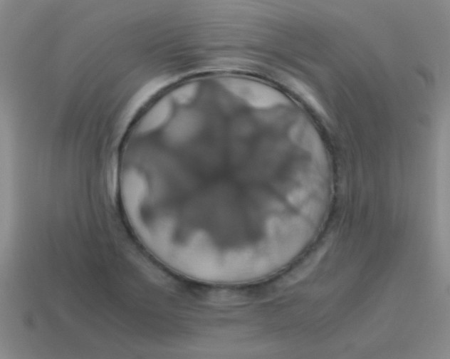 X0000113601275200910161857