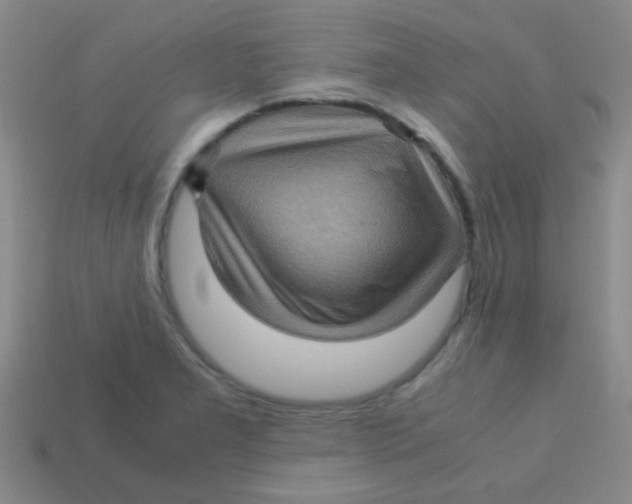 X0000113601277200910161857